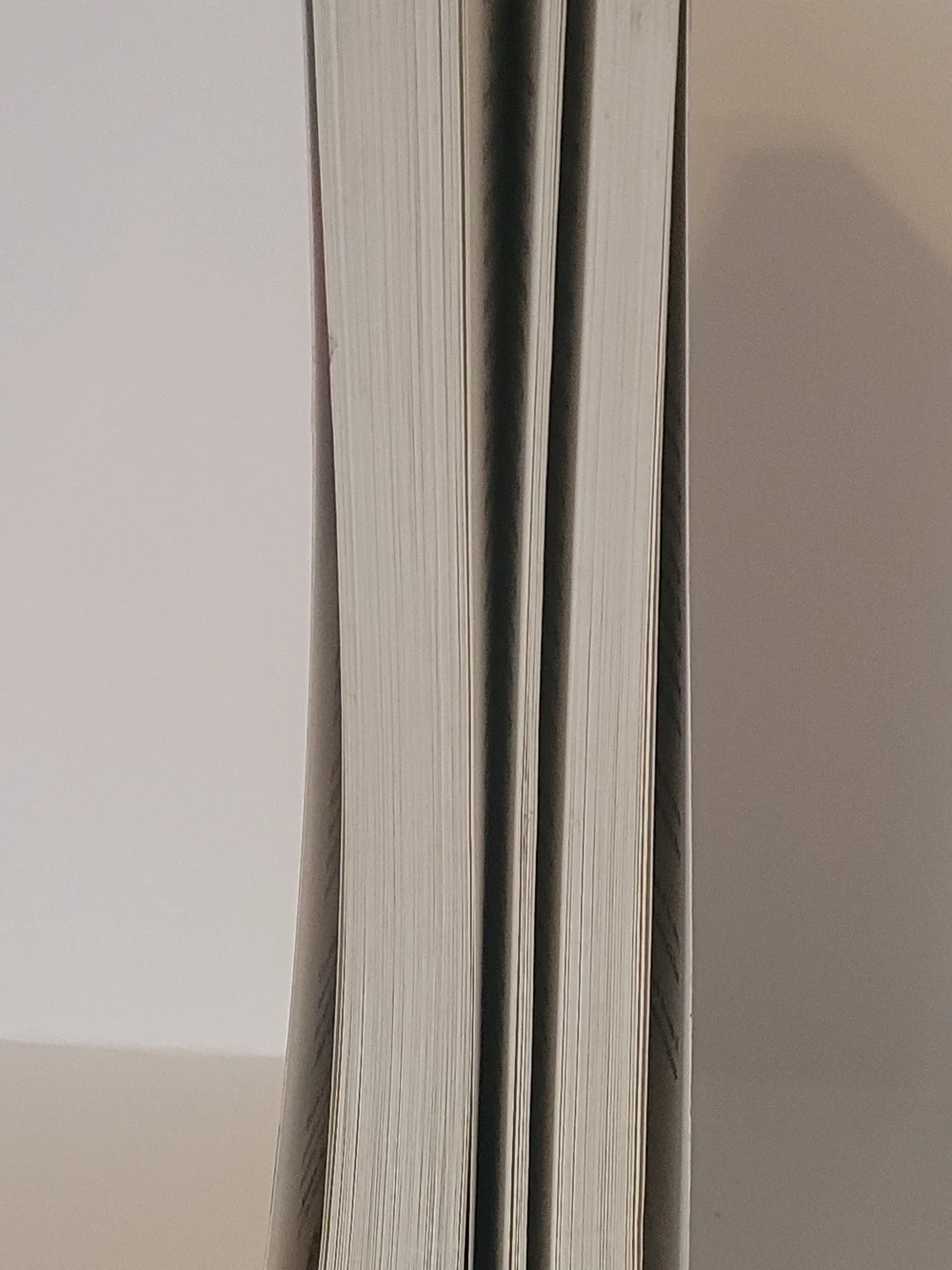 Torah of the Earth Vol 2 Exploring 4000 Years of Ecology in Jewish Thought PB